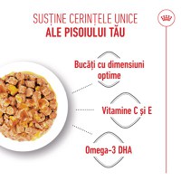ROYAL CANIN Kitten, hrană umedă pisici, (în aspic), bax, 85g x 12buc - 4