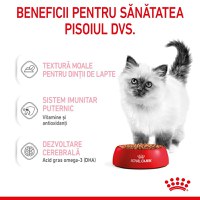 Royal Canin Kitten, hrană umedă pisici, (în sos) ROYAL CANIN Kitten, plic hrană umedă pisici, (în sos), 85g - 3