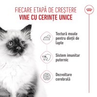 ROYAL CANIN Kitten, hrană umedă pisici junior, (în sos), 85g - 4