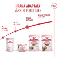 ROYAL CANIN Kitten, hrană umedă pisici junior, (pate), 85g - 9