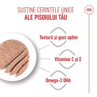 ROYAL CANIN Kitten, hrană umedă pisici junior, (pate), 85g - 5