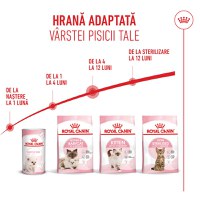 ROYAL CANIN Kitten, hrană uscată pisici junior, 1.2kg - 11