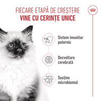ROYAL CANIN Kitten, hrană uscată pisici junior, 1.2kg - 4
