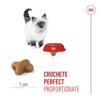 ROYAL CANIN Kitten, hrană uscată pisici junior, 4kg - 6