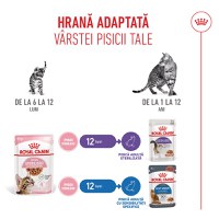 ROYAL CANIN Kitten Sterilised hrană umedă pisici sterilizate junior (în sos), 85g - 9