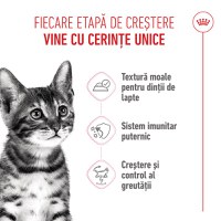 ROYAL CANIN Kitten Sterilised hrană umedă pisici sterilizate junior (în sos), 85g - 4