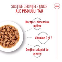 ROYAL CANIN Kitten Sterilised hrană umedă pisici sterilizate junior (în sos), 85g - 5
