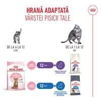 ROYAL CANIN Kitten Sterilised, hrană uscată pisici sterilizate junior, 2kg - 11