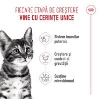 ROYAL CANIN Kitten Sterilised, hrană uscată pisici sterilizate junior, 2kg - 4