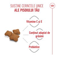 ROYAL CANIN Kitten Sterilised, hrană uscată pisici sterilizate junior, 2kg - 5