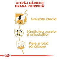 ROYAL CANIN Labrador Adult, hrană uscată câini, 12kg - 5