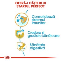 ROYAL CANIN Labrador Puppy, hrană uscată câini junior, 3kg - 5