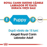 ROYAL CANIN Labrador Puppy, hrană uscată câini junior, 3kg - 9