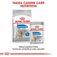 ROYAL CANIN Light Weight Care Adult, hrană umedă câini, limitarea creșterii în greutate, (pate), 85g - 9