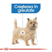 ROYAL CANIN Light Weight Care Adult, hrană umedă câini, limitarea creșterii în greutate, (pate), 85g - 4