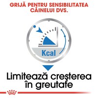ROYAL CANIN Light Weight Care Adult, hrană umedă câini, limitarea creșterii în greutate, (pate), 85g - 5