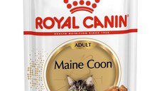 ROYAL CANIN Maine Coon Adult, hrană umedă pisici, (în sos), 85g