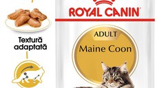 ROYAL CANIN Maine Coon Adult, hrană umedă pisici, (în sos), bax, 85g x 12buc