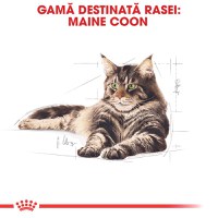 ROYAL CANIN Maine Coon Adult, hrană umedă pisici, (în sos), bax, 85g x 12buc - 4