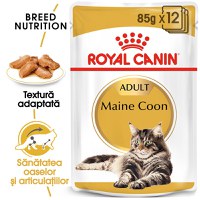 ROYAL CANIN Maine Coon Adult, hrană umedă pisici, (în sos), bax, 85g x 12buc - 2