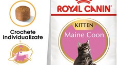 ROYAL CANIN Maine Coon Kitten, hrană uscată pisici junior, 2kg