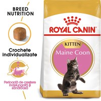 ROYAL CANIN Maine Coon Kitten, hrană uscată pisici junior, 2kg - 1