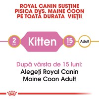 ROYAL CANIN Maine Coon Kitten, hrană uscată pisici junior, 2kg - 9