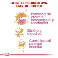 ROYAL CANIN Maine Coon Kitten, hrană uscată pisici junior, 2kg - 5