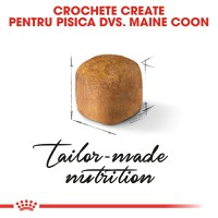 ROYAL CANIN Maine Coon Kitten, hrană uscată pisici junior, 2kg - 6