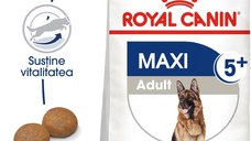 Royal Canin Maxi Adult 5+, hrană uscată câini, 15kg