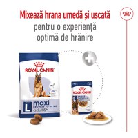 ROYAL CANIN Maxi Adult 5+, hrană uscată câini, 15kg - 9