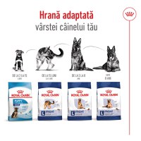 ROYAL CANIN Maxi Adult 5+, hrană uscată câini, 15kg - 11