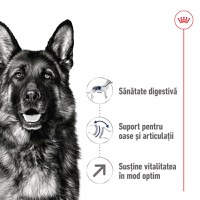 ROYAL CANIN Maxi Adult 5+, hrană uscată câini, 15kg - 3