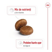ROYAL CANIN Maxi Adult 5+, hrană uscată câini, 15kg - 4