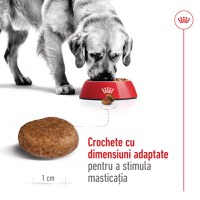 ROYAL CANIN Maxi Adult 5+, hrană uscată câini, 15kg - 5