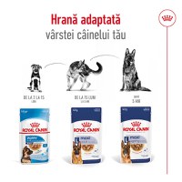 ROYAL CANIN Maxi Adult, hrană umedă câini, (în sos), bax, 140g x 10buc - 7
