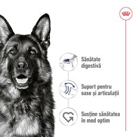 ROYAL CANIN Maxi Adult, hrană umedă câini, (în sos), bax, 140g x 10buc - 3