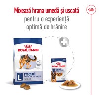 ROYAL CANIN Maxi Adult, hrană uscată câini, 15kg - 9