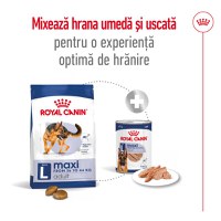 ROYAL CANIN Maxi Adult, hrană uscată câini, 15kg - 10