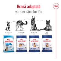 ROYAL CANIN Maxi Adult, hrană uscată câini, 15kg - 11