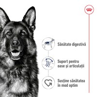 ROYAL CANIN Maxi Adult, hrană uscată câini, 15kg - 3