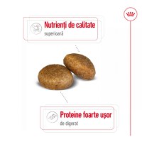 ROYAL CANIN Maxi Adult, hrană uscată câini, 15kg - 4