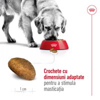 ROYAL CANIN Maxi Adult, hrană uscată câini, 15kg - 5