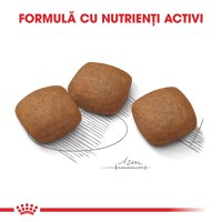 ROYAL CANIN Maxi Joint Care, hrană uscată câini, îngrijirea articulațiilor, 10kg - 5
