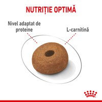 ROYAL CANIN Maxi Light Weight Care, hrană uscată câini, limitarea creșterii în greutate, 12kg - 5