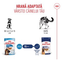 ROYAL CANIN Maxi Puppy, hrană umedă câini junior, (în sos), 140g - 9