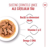 ROYAL CANIN Maxi Puppy, hrană umedă câini junior, (în sos), 140g - 5