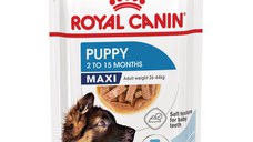 ROYAL CANIN Maxi Puppy, hrană umedă câini junior, (în sos), bax, 140g x 10buc