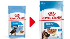 Royal Canin Maxi Puppy, hrană umedă câini junior, (în sos) ROYAL CANIN Maxi Puppy, plic hrană umedă câini junior, (în sos), 140g