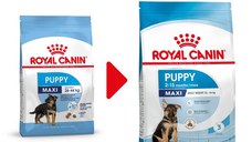 ROYAL CANIN Maxi Puppy, hrană uscată câini junior, 15kg